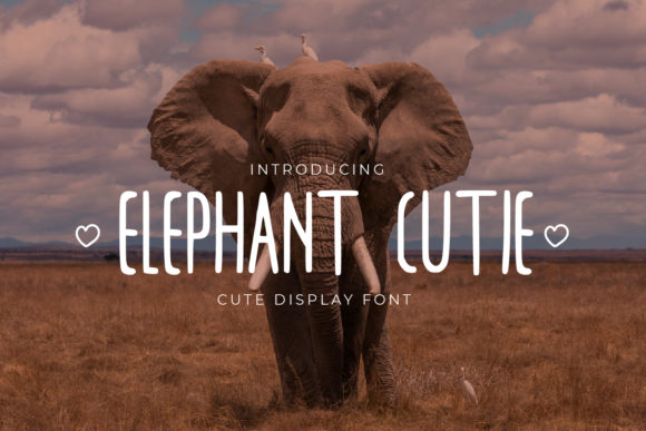 Elephant Cutie: The Simple Sans Serif Font for Polished Branding