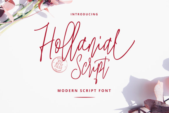 Hollanial: A Modern Script Typeface for Premium Branding