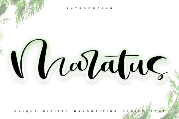 Maratus: The Handwritten Typeface for Modern Digital Design