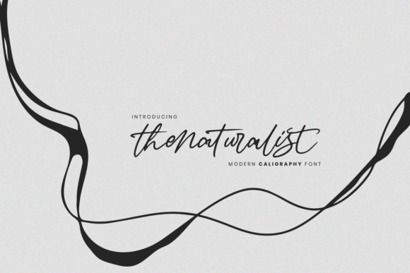 The Naturalist: A Stylish Handwritten Font for Modern Branding